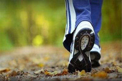 تأثیر پیاده روی روزانه در جلوگیری از مرگ زودهنگام با سکته مغزی