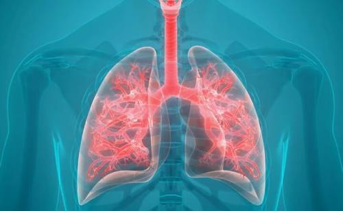 ۶ علت شایع مبتلا شدن به آسم را بشناسید