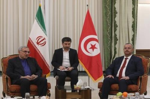 استقبال تونس از اعزام توریست سلامت به ایران