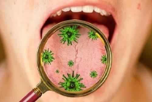 كروناویروس در غدد بزاق دهان تكثیر می شود
