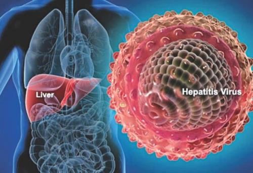 هپاتیت منجر به ناباروری در مردان و زنان می شود