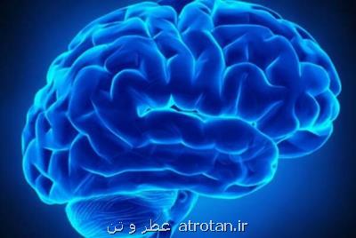 شاخصهای حفظ سلامت مغز را بشناسید