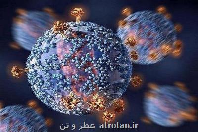 ارتباط سطح آنتی بادی پایین و مبتلاشدن به کووید ۱۹