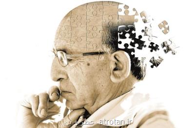 تحصیلات دانشگاهی تأثیر مثبت بر روند پیری مغز دارد