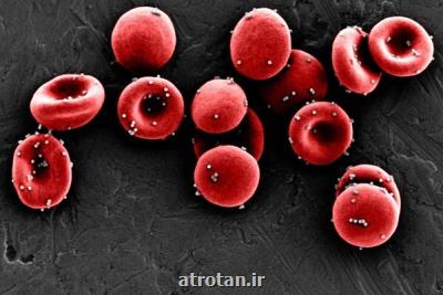 پروتئین های خون کلید اصلی زندگی سالم و عمر طولانی