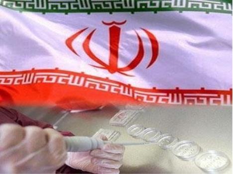نسخه انگلیسی کتاب جامع محصولات نانو ساخت ایران منتشر گردید