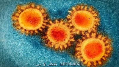 افزایش احتمال مبتلاشدن به کووید ۱۹ در افراد HIV