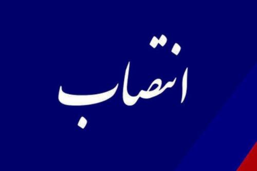 سرپرست دفتر سلامت روانی و اجتماعی وزارت بهداشت انتخاب شد