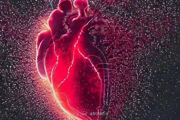 تشخیص بروز سکته قلبی از نمونه خون تا ۱۰ روز پس از ایجاد لطمه