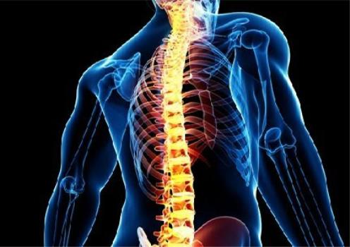 سبک زندگی سالم از بروز مشکلات ستون فقرات جلوگیری می کند