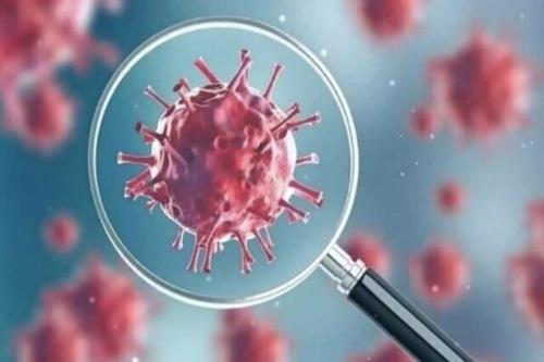 ویروس های خانواده کرونا پیشتاز ویروس های تنفسی در گردش