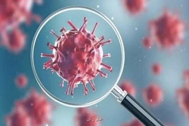 ویروس های خانواده کرونا پیشتاز ویروس های تنفسی در گردش