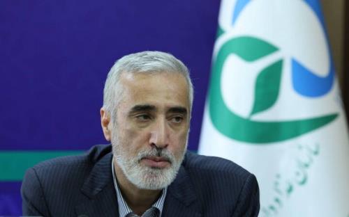 تأمین ۱۰۰ درصدی مکمل ها توسط تولیدکنندگان داخلی