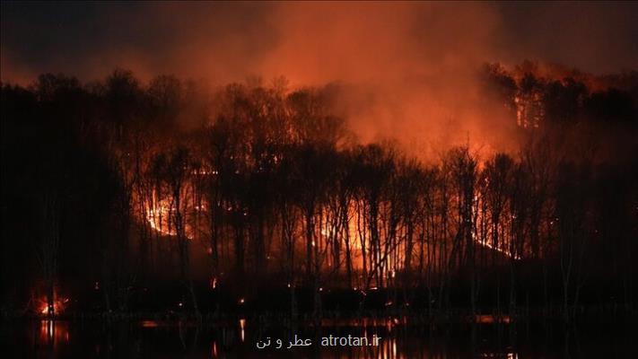 دود آتشسوزی سلامت قلب و ریه را تا ماه ها تهدید می کند