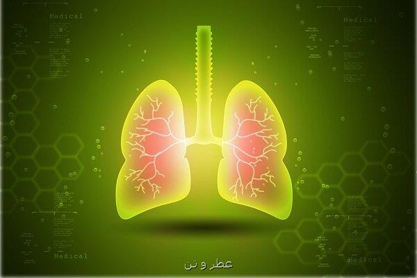 کپک خانگی می تواند باعث بیماری ریه شود