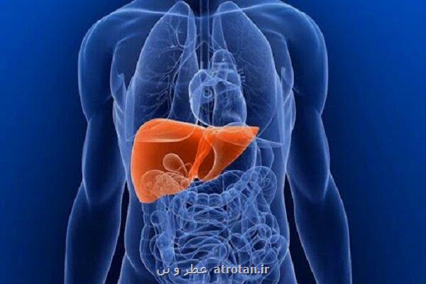 بیشتر سرطان های کبد قابل پیشگیری هستند