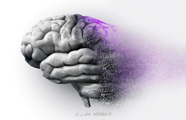 ردپای لیتیوم در صیانت از مغز در مقابل آلزایمر