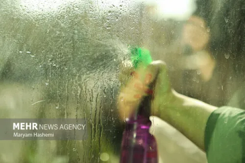 شوینده های خانگی و خطر لطمه دستگاه تنفسی