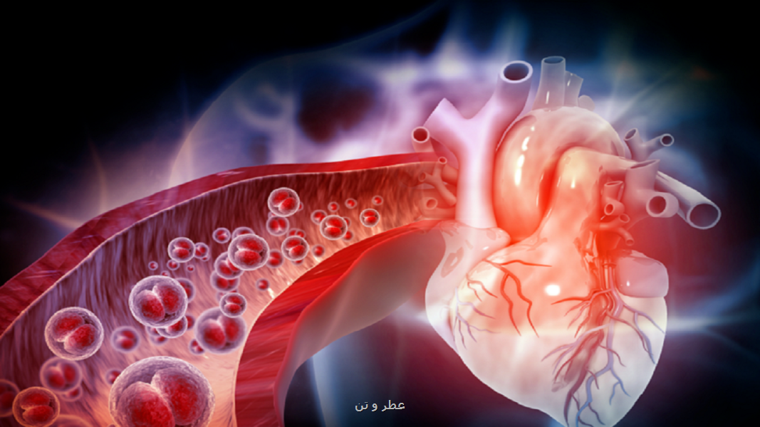 تاثیر اعجاب انگیز ورزش بر ساختار عصبی قلب