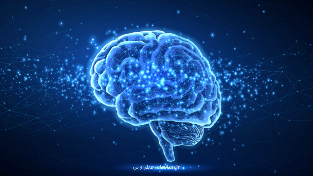 فست فود ها مضرترین مواد برای مغز هستند