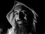 در كتابخانه بن لادن چه خبر بود؟