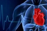 استرس بعد از حادثه باعث افزایش ضربان نامنظم قلب می گردد