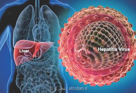 شیوع مجدد هپاتیت آ در تنسی امریكا، مرگ و میر بیشتر در راه می باشد