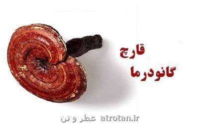 گانودرما و ادعاهایی برای كلاهبرداری، این قارچ مجوز دارویی ندارد