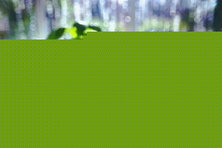 گیاهان سبب افزایش كیفیت هوای منزل نمی شوند