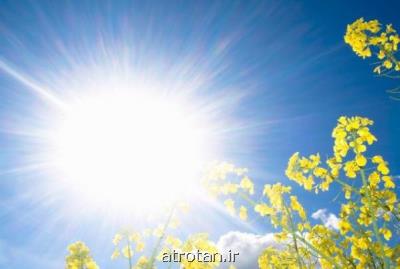نور خورشید با سندروم متابولیك مقابله می كند