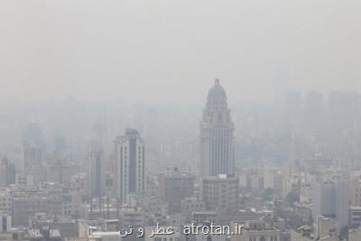 هوای آلوده خطر زوال عقل را بیشتر می كند
