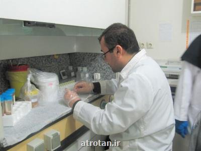 غربالگری كووید ۱۹ در بوشهر مورد ارزیابی قرار می گیرد