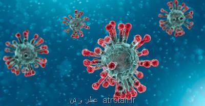افراد مبتلا به زوال عقل در معرض ریسك بالاتر مبتلا شدن به كووید 19
